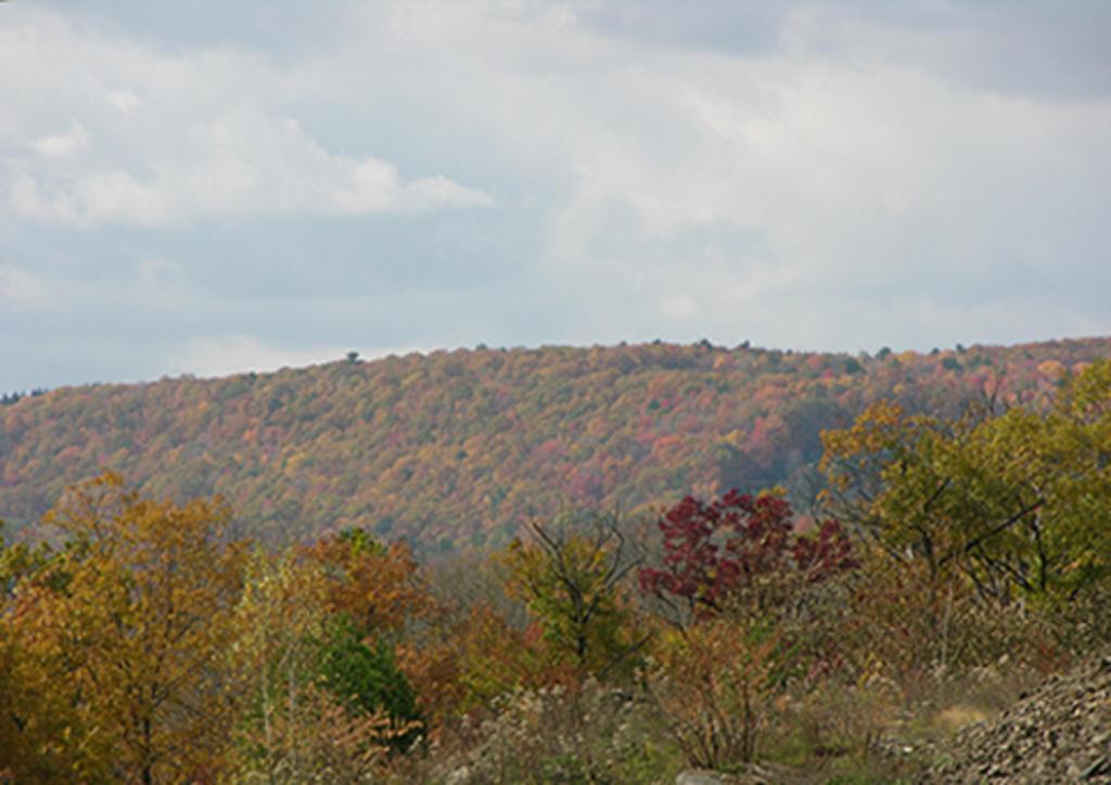 Mahoning Inn Lehighton ภายนอก รูปภาพ